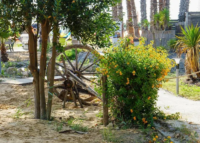 Sunset Kite Village *